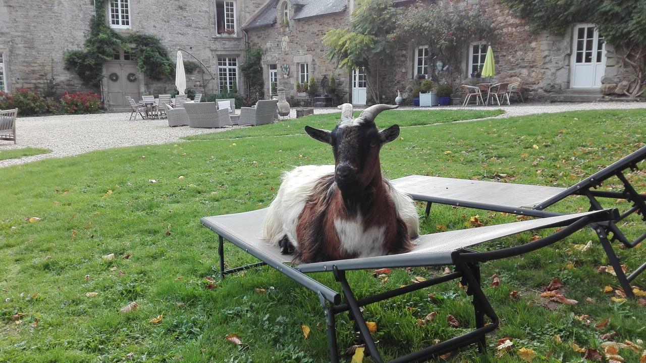 Manoir Du Quengo Bed & Breakfast Rohan Exterior foto